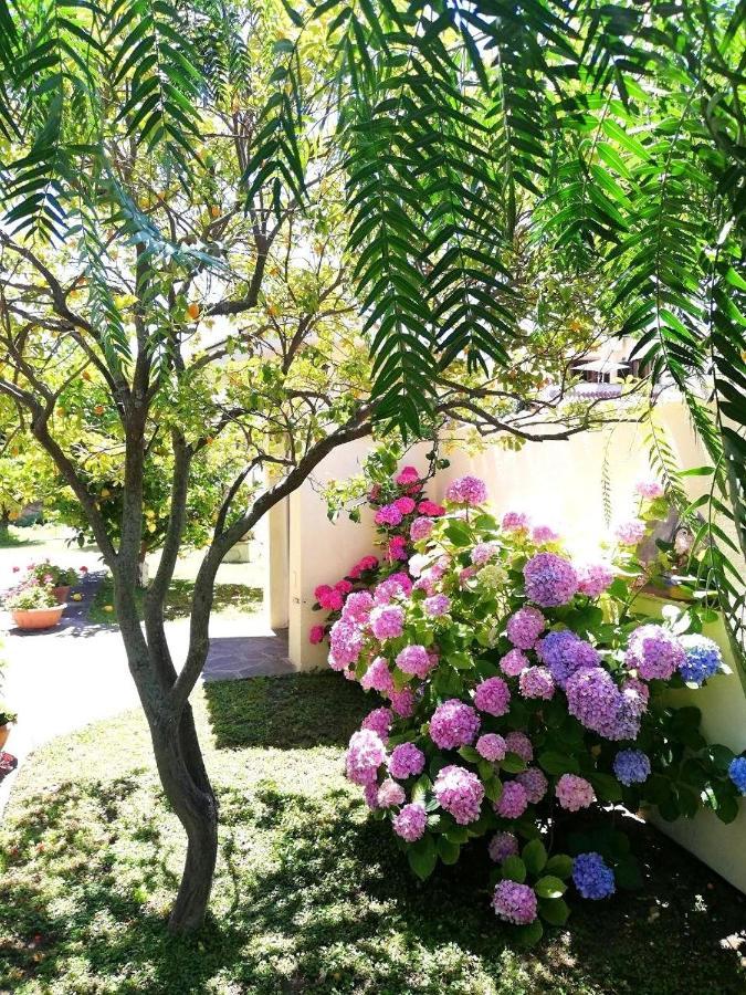 A Casa Di Iole Apartment ฟิวมิชีโน ภายนอก รูปภาพ